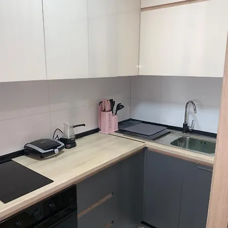Pink Modern سكوبجي
