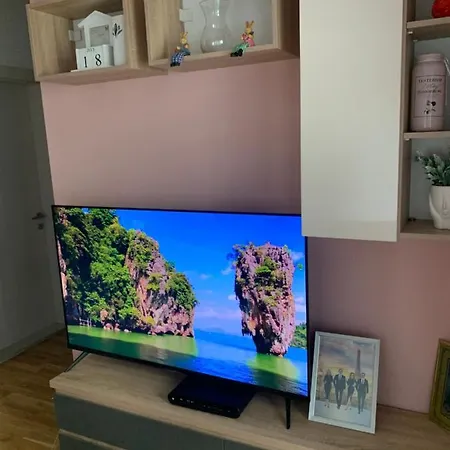 Pink Modern