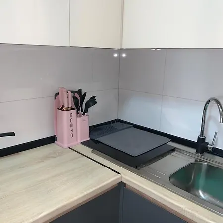 Pink Modern سكوبجي