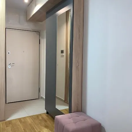 Pink Modern سكوبجي